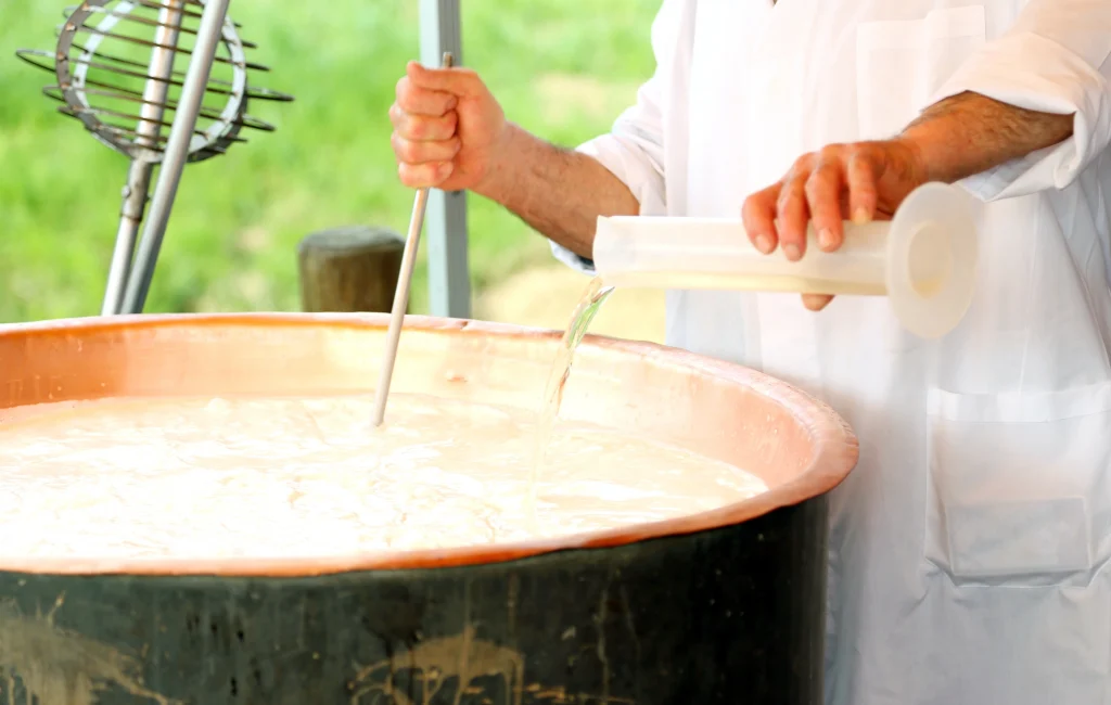 Caglio Colombo | Dal 1903 Colombo Srl affianca caseifici artigianali e industriali nella produzione di formaggi e prodotti lattiero-caseari, sviluppando caglio, fermenti lattici, enzimi e soluzioni dedicate alla lavorazione del latte. Un’esperienza costruita attraverso oltre un secolo di attività, ricerca e collaborazione con professionisti del settore caseario.