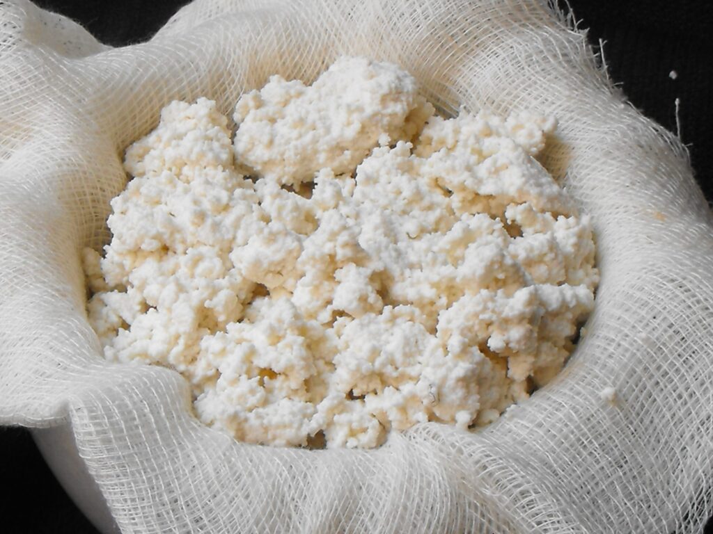 Caglio Colombo | Dal 1903 Colombo Srl affianca caseifici artigianali e industriali nella produzione di formaggi e prodotti lattiero-caseari, sviluppando caglio, fermenti lattici, enzimi e soluzioni dedicate alla lavorazione del latte. Un’esperienza costruita attraverso oltre un secolo di attività, ricerca e collaborazione con professionisti del settore caseario.
