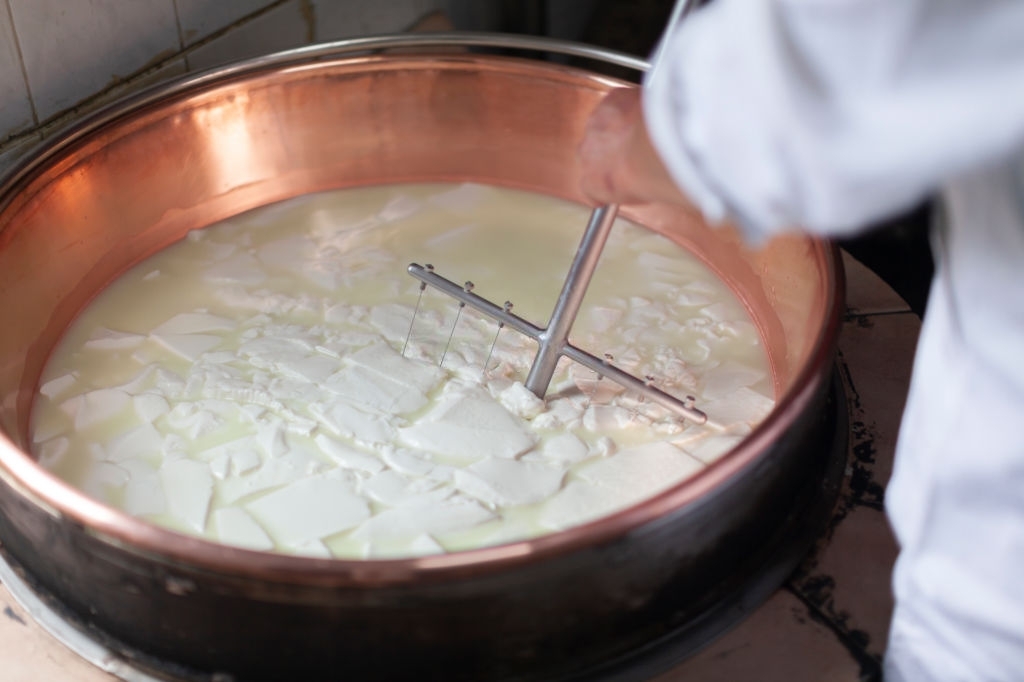 Caglio Colombo | Dal 1903 Colombo Srl affianca caseifici artigianali e industriali nella produzione di formaggi e prodotti lattiero-caseari, sviluppando caglio, fermenti lattici, enzimi e soluzioni dedicate alla lavorazione del latte. Un’esperienza costruita attraverso oltre un secolo di attività, ricerca e collaborazione con professionisti del settore caseario.
