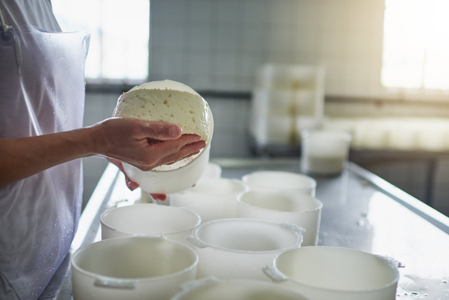 Caglio Colombo | Dal 1903 Colombo Srl affianca caseifici artigianali e industriali nella produzione di formaggi e prodotti lattiero-caseari, sviluppando caglio, fermenti lattici, enzimi e soluzioni dedicate alla lavorazione del latte. Un’esperienza costruita attraverso oltre un secolo di attività, ricerca e collaborazione con professionisti del settore caseario.