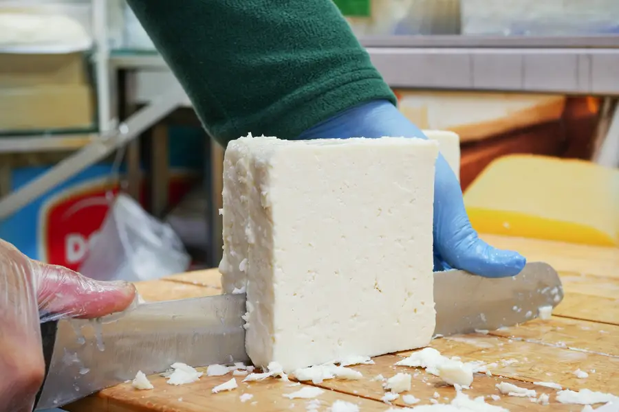 Quali fermenti utilizzare per fare il formaggio? La guida per scegliere quelli giust