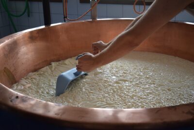 Caglio Colombo | Dal 1903 Colombo Srl affianca caseifici artigianali e industriali nella produzione di formaggi e prodotti lattiero-caseari, sviluppando caglio, fermenti lattici, enzimi e soluzioni dedicate alla lavorazione del latte. Un’esperienza costruita attraverso oltre un secolo di attività, ricerca e collaborazione con professionisti del settore caseario.